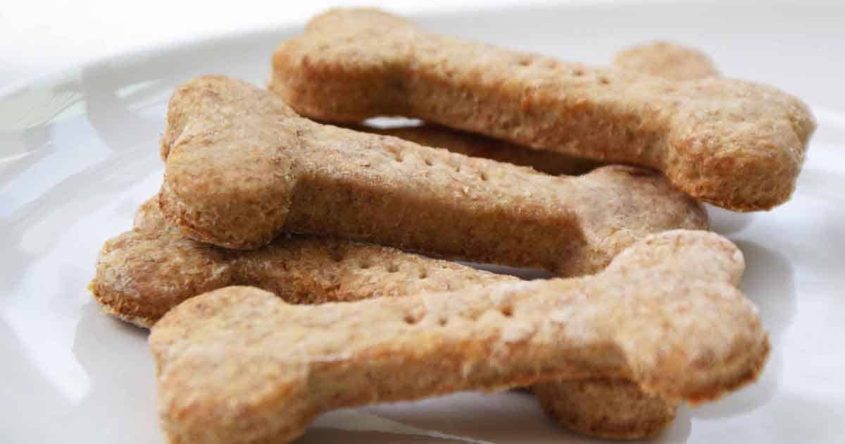 Homemade Scooby Snacks For Dogs Recipe