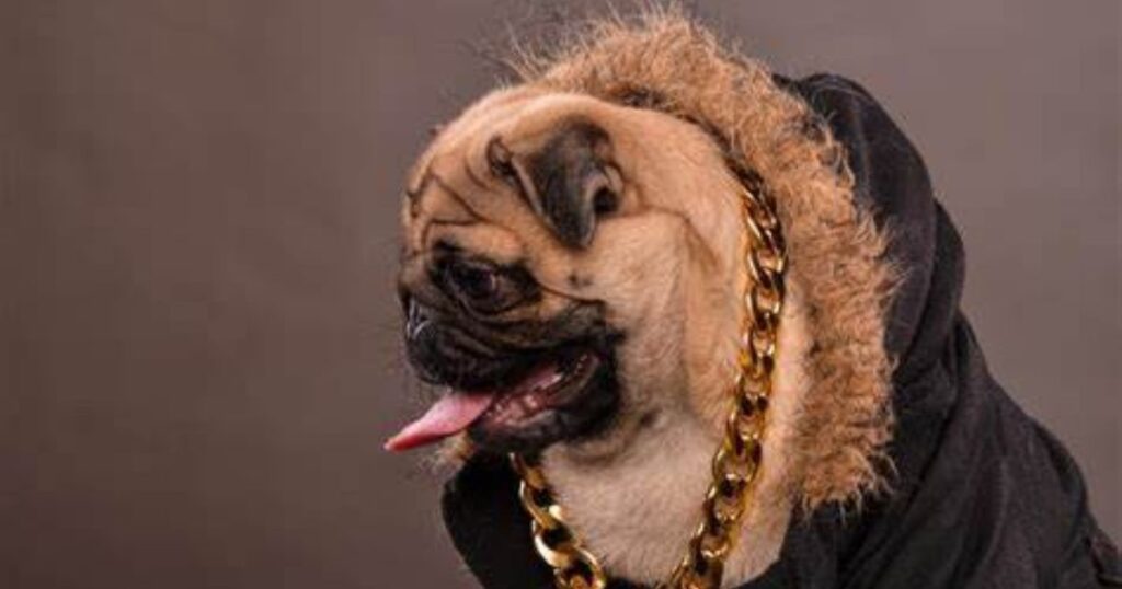 Badass Dog Names Inspired by Rappers & Hip Hop Artists