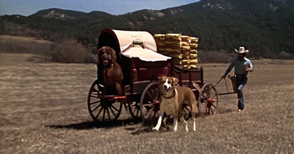 Chuck Wagon Dog Food Commercial 1978