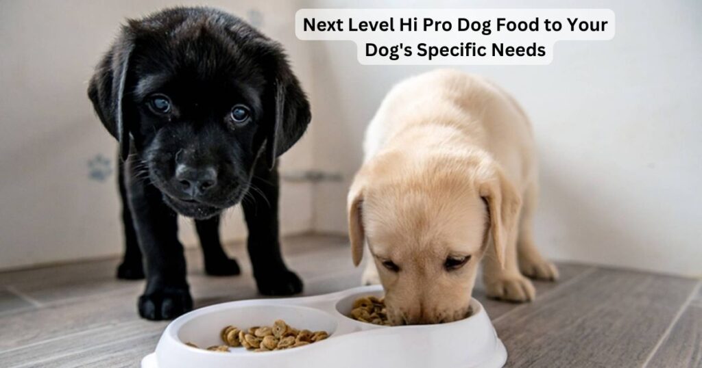 Next Level Hi Pro Dog Food to Your Dog's Specific Needs