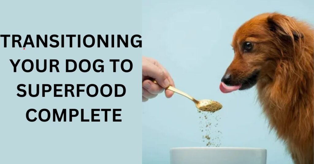 Transitioning Your Dog to Superfood Complete