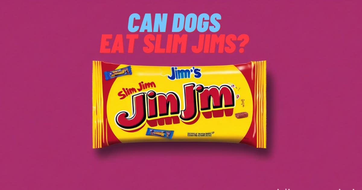 Can Dogs Eat Slim Jims? 