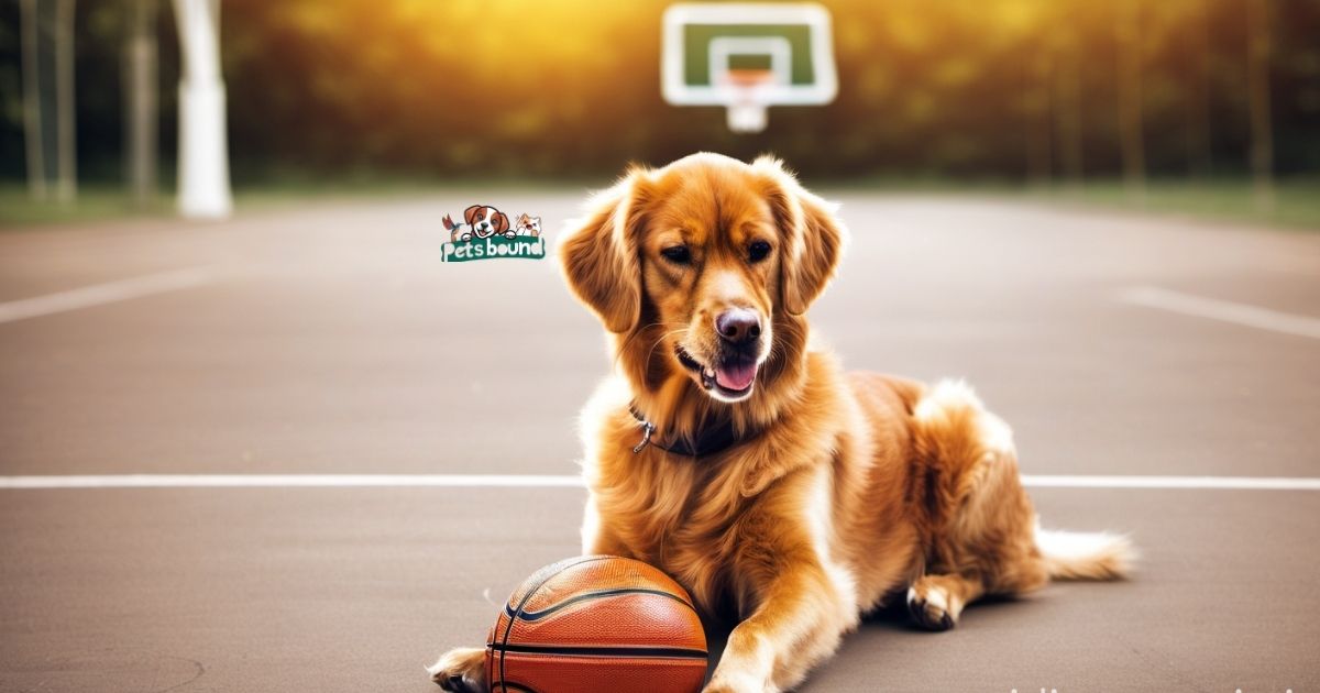 Over 100 of the Best Dog Names Inspired by Basketball