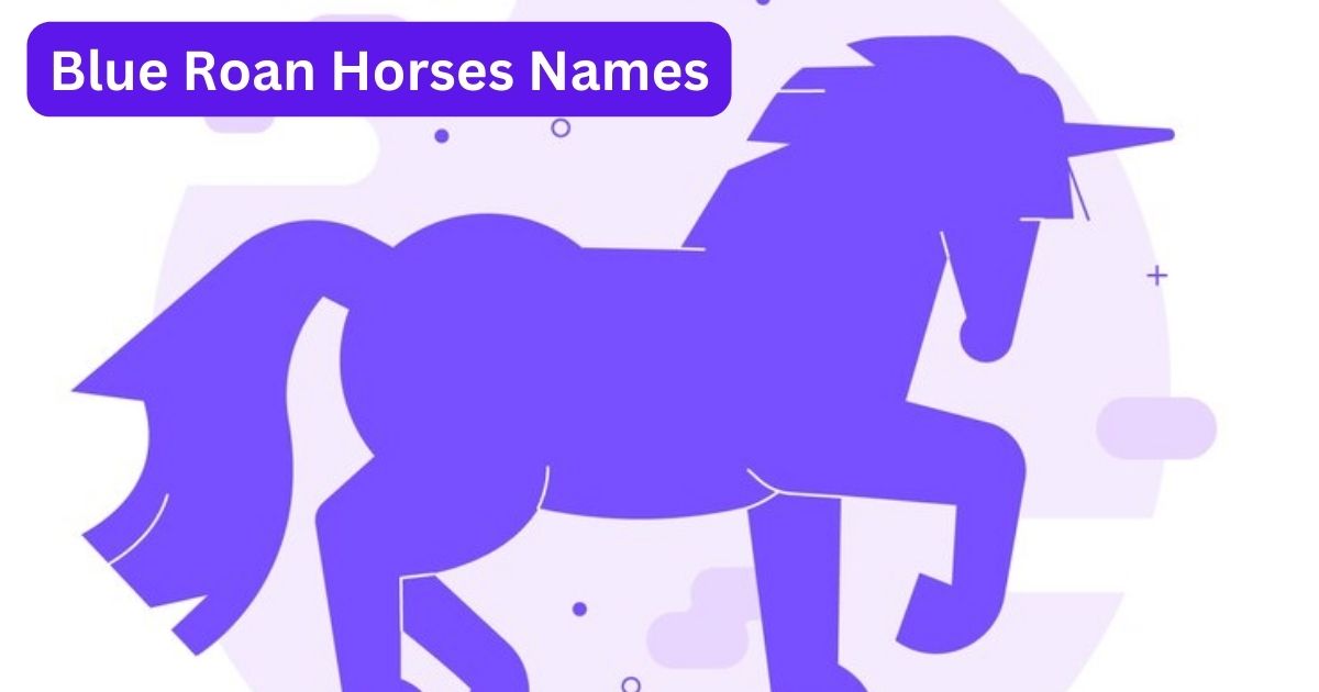 Blue Roan Horse Names