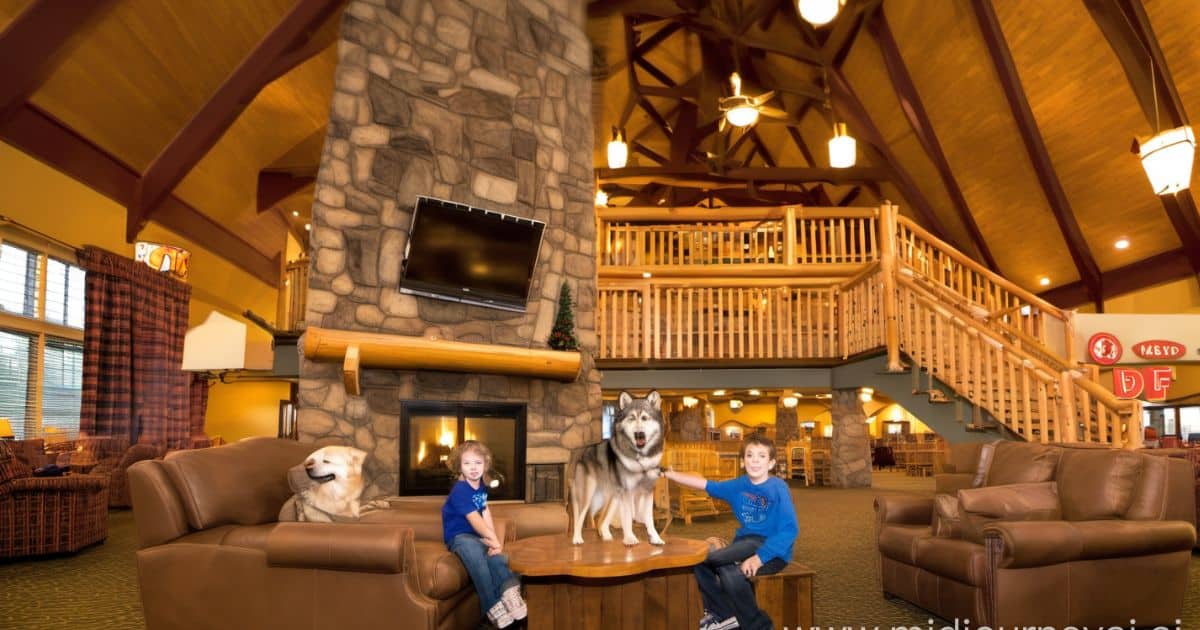 Is Great Wolf Lodge Pet Friendly?