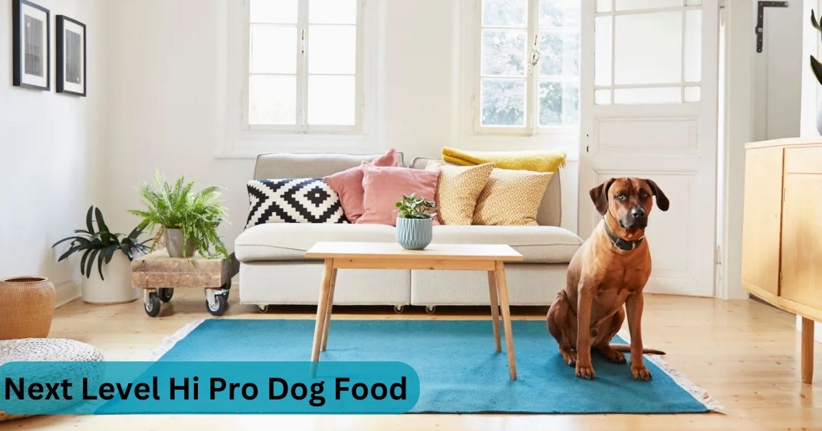 Next Level Hi Pro Dog Food